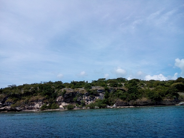 Spot snorkling pulau menjangan