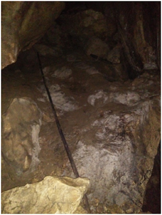 Adanya bambu panjang, oleh Tim Caving Mapala Natural Forum