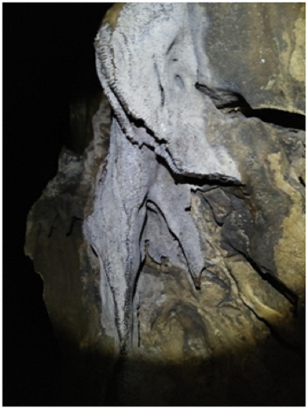 Ornamen Bacon, oleh Tim Caving Mapala Natural Forum