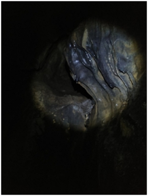 Ornamen Flowstone, oleh Tim Caving Mapala Natural Forum