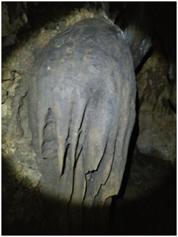 Ornamen Gourdam, oleh Tim Caving Mapala Natural Forum