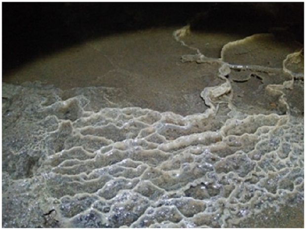 Ornamen Gours, oleh Tim Caving Mapala Natural Forum