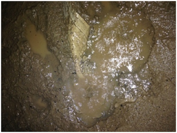 Ornamen Sirap, oleh Tim Caving Mapala Natural Forum