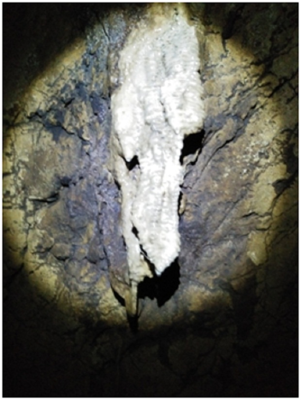 Ornamen Soda Straw, oleh Tim Caving Mapala Natural Forum