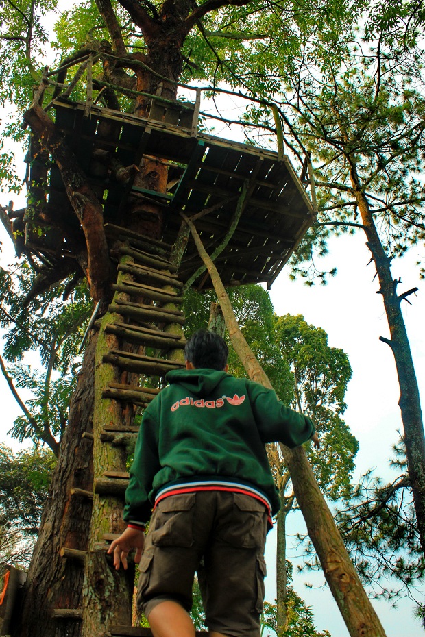 Rumah Pohon Panggung bawah Coban Rais Batu