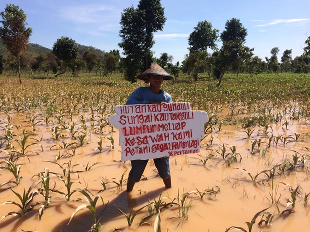 Petani jagung yang lahannya digenangi lumpur, dampak dari aktivitas konstruksi pertambangan emas di tumpang pitu, Banyuwangi