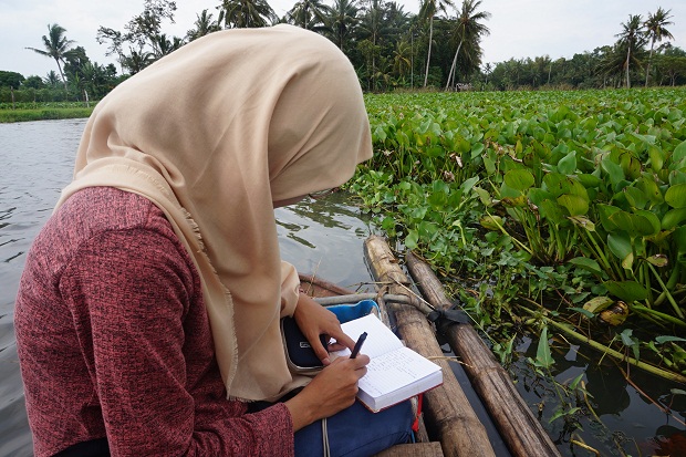 Konservasi Burung Air Nusantara Bersama AWC, #waterbirdscount #asianwaterbirdcensus