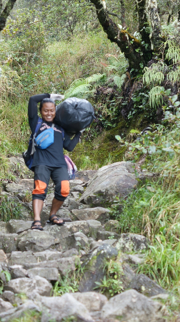 Operasi Sampah Gunung Lawu, Cozmeed Indonesia