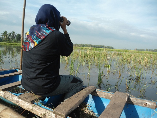 Konservasi Burung Air Nusantara Bersama AWC, #waterbirdscount #asianwaterbirdcensus