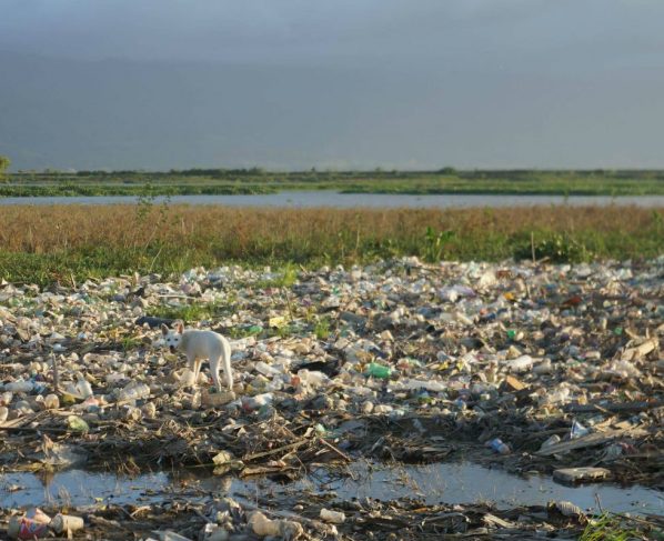 Tumpukan sampah di area Danau Limboto, Gorontalo (Sumber Foto : Beritagar.id). (WARTAPALA INDONESIA/ Meilan Mooduto WI 200201)